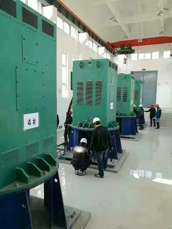 Y800-8某污水处理厂使用我厂的立式高压电机安装现场