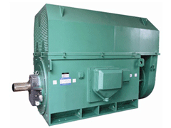 Y800-8Y系列6KV高压电机